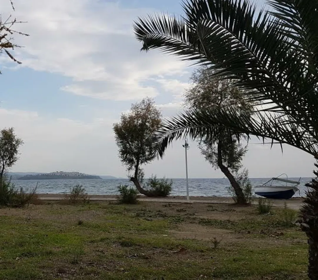 Adakent Plajı - Beaches Adakent Plajı 4