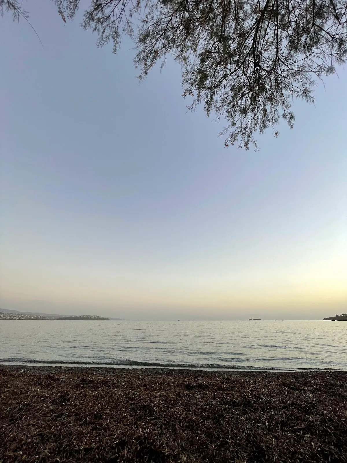 Akarca Beach Restaurant - Restaurants Akarca 4