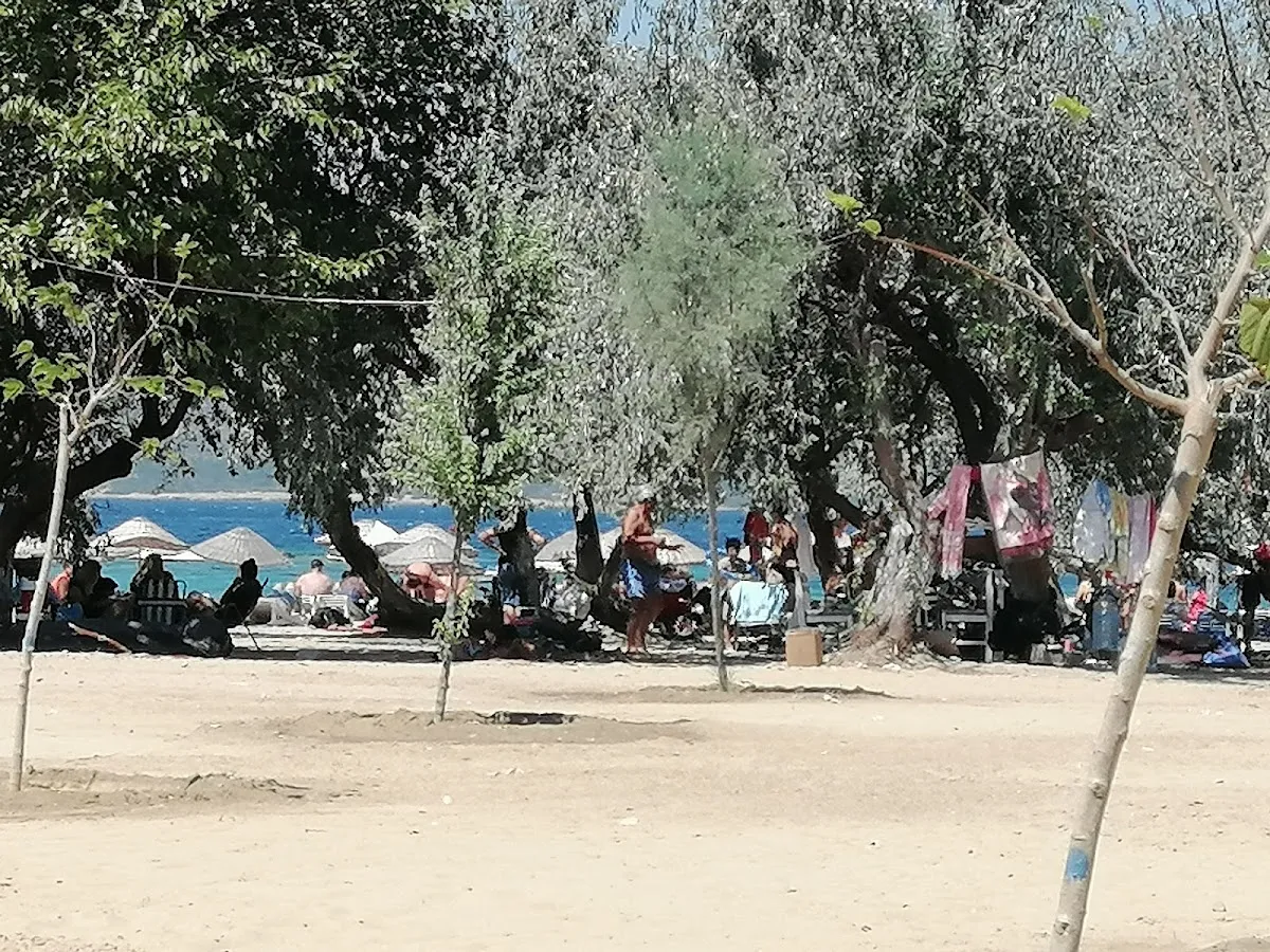 Akarca Plajı - Beaches Akarca Plajı 5