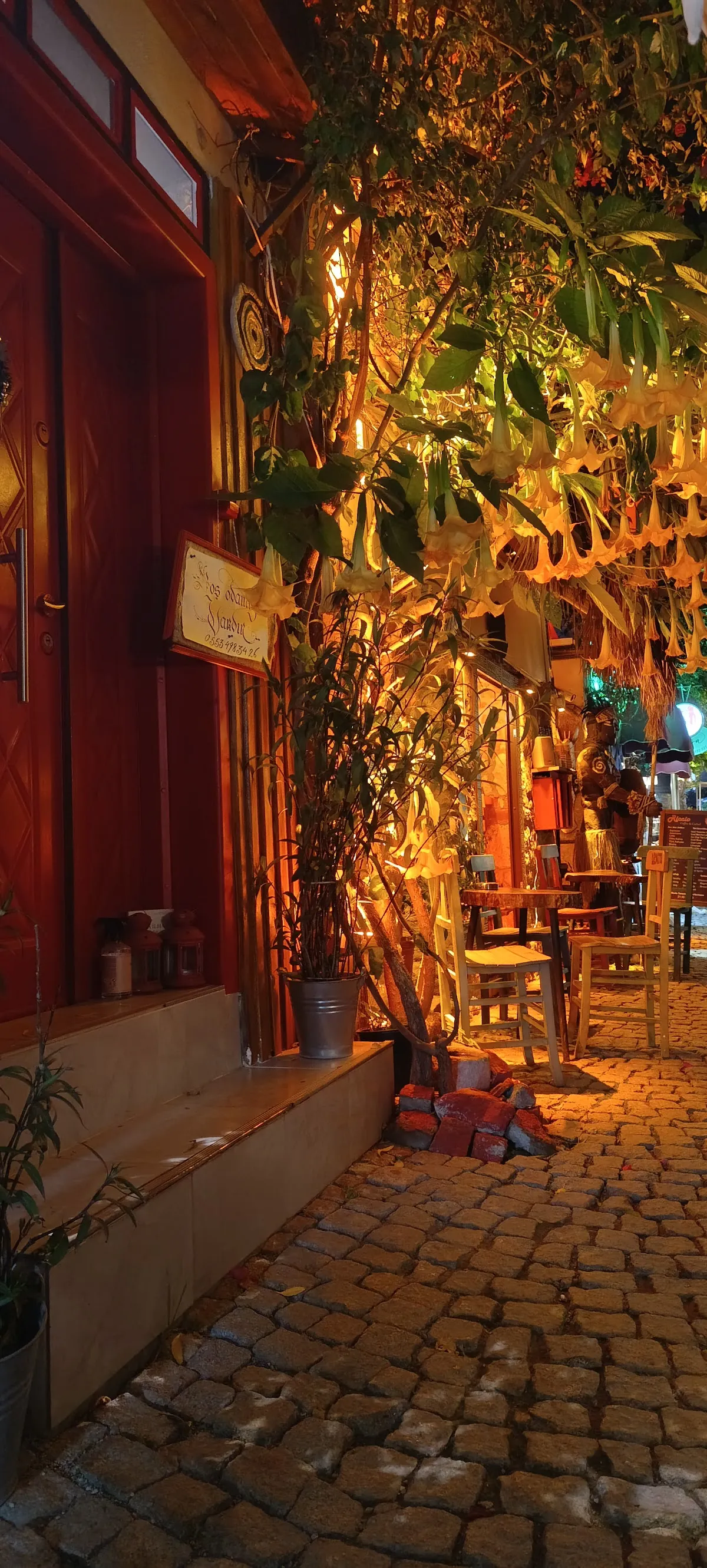 Begonvil Pansiyon - Hotels Sığacık 4