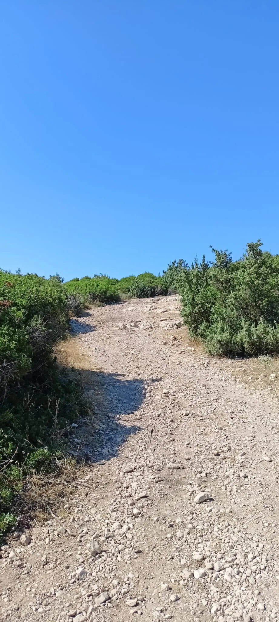 Çakal koyu - Camping Kuşçular 5