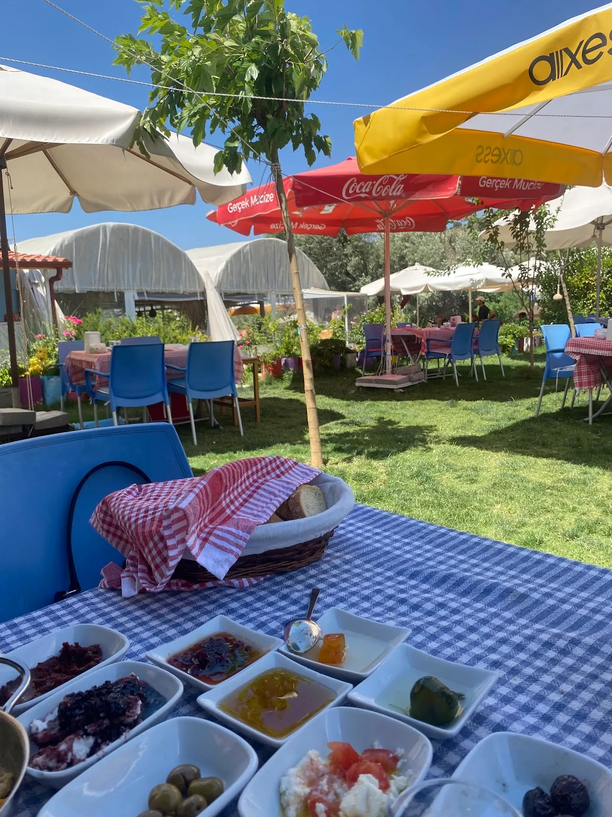 Çiçekli Avlu - Breakfast Places Ulamış 5