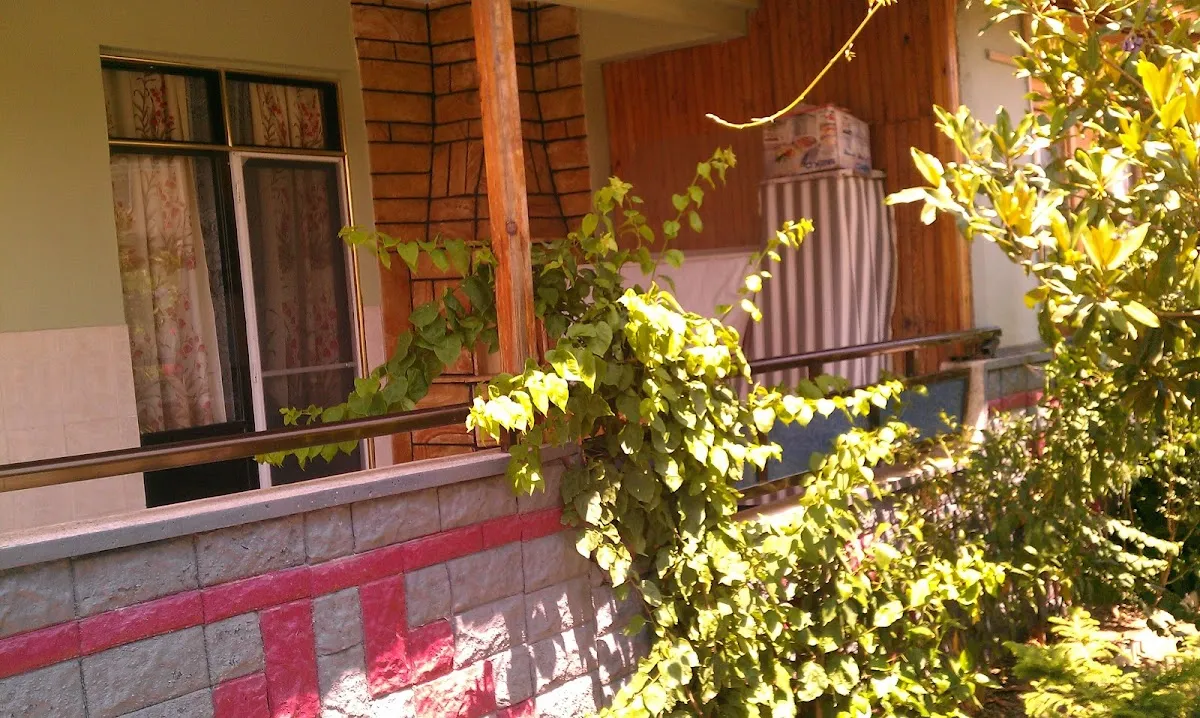 Efe Aile Pansiyonu - 