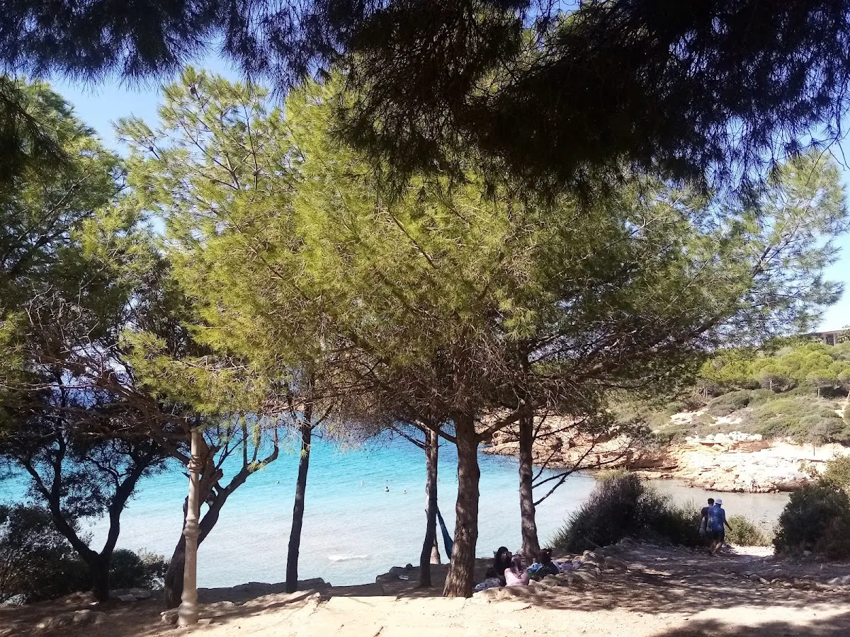 Ekmeksiz Plajı - Beaches Ekmeksiz 5