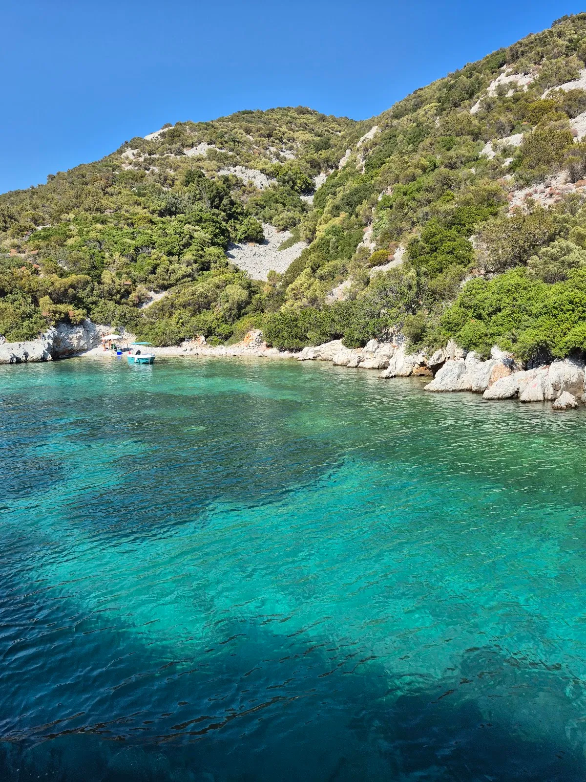 Güven Tur Tekne Turu ve Tekne Kiralama Hizmeti - Boat Tours Sığacık Mh 2