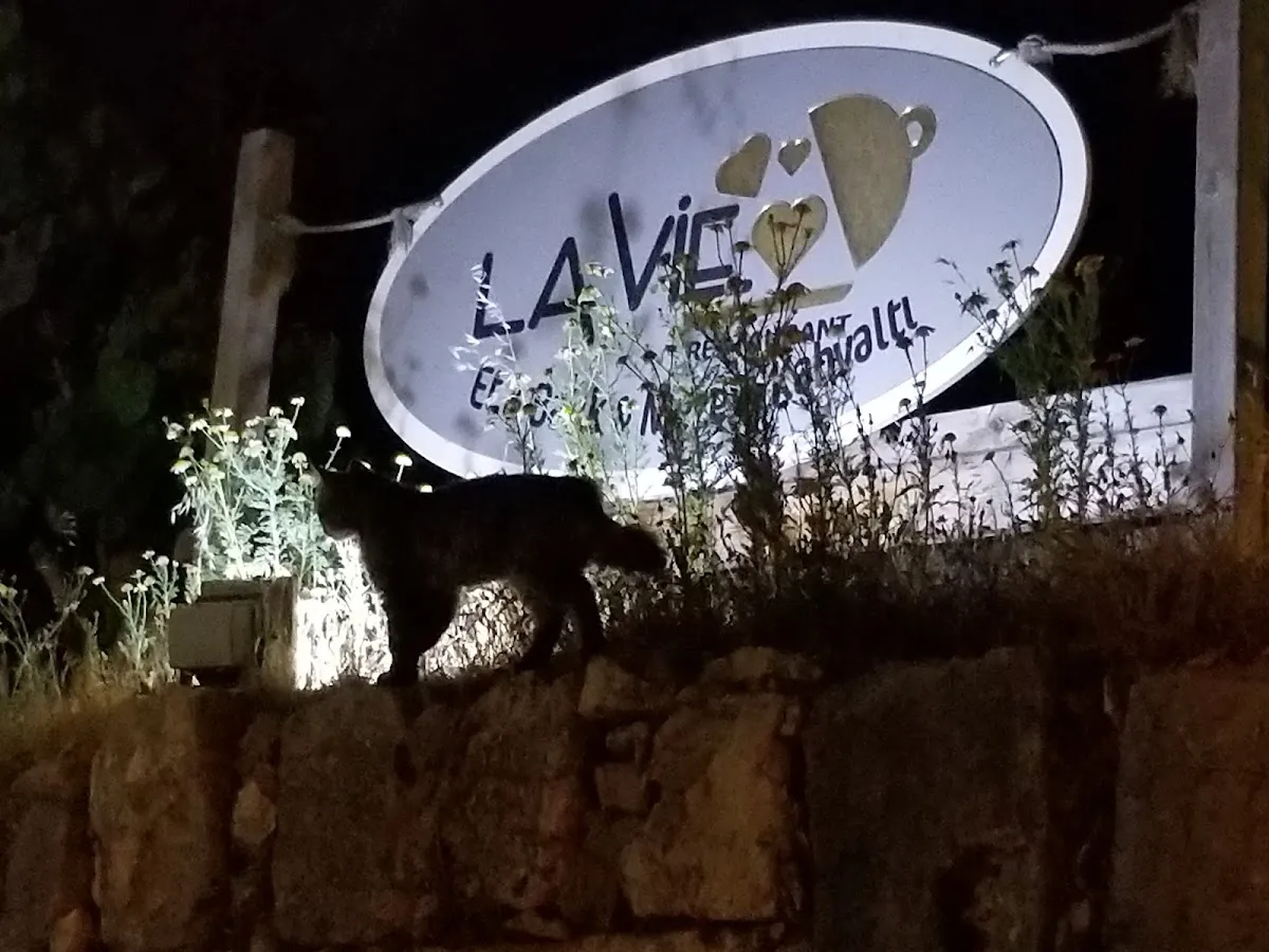 La Vie Sığacık - Restaurants Sığacık Mah. 129 sok. No:26 (Kaleiçi) 3