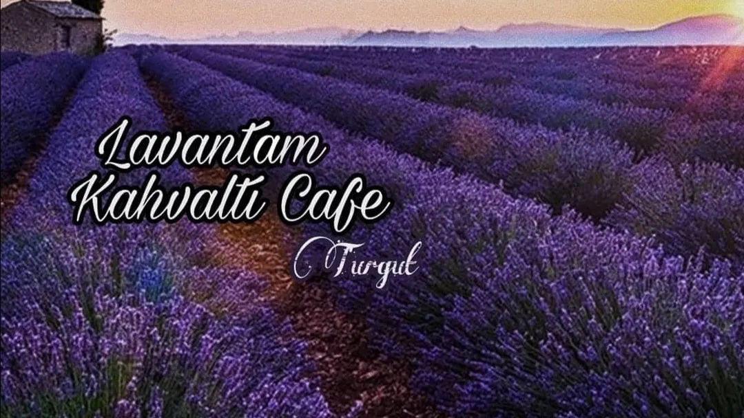 Lavantam Kahvaltı & Cafe - Muhtarın Yeri - Cafes Turgut Demokrasi Meydanı No:22 3