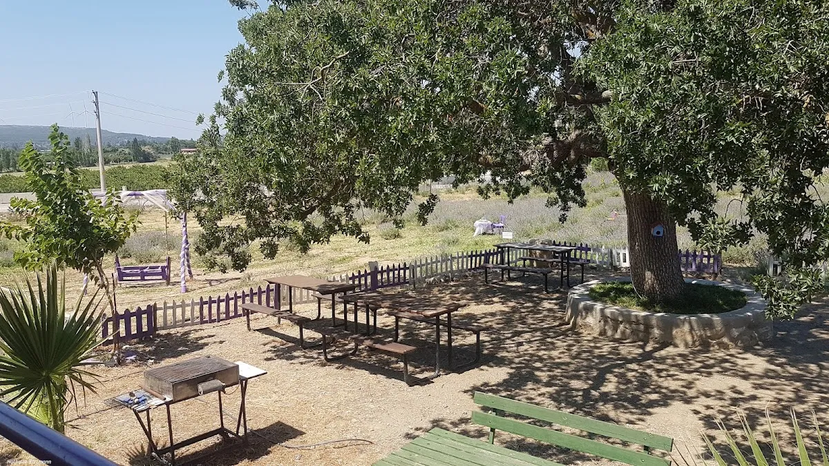 Lavantam Kahvaltı & Cafe - Muhtarın Yeri - Cafes Turgut Demokrasi Meydanı No:22 5