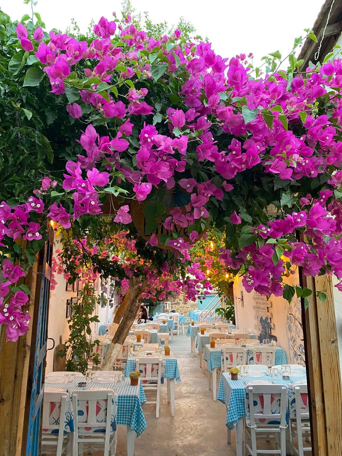 Lütfiye Sığacık - Restaurants Sığacık Merkez 3