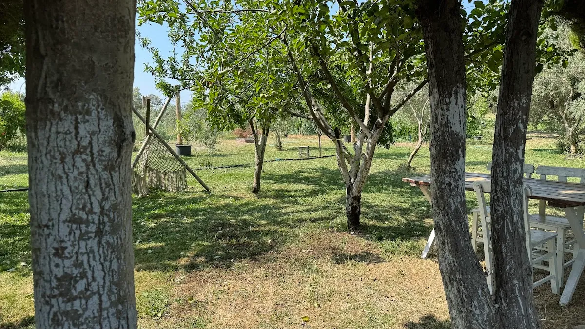 Maya Bahçe - Breakfast Places Sığacık 5