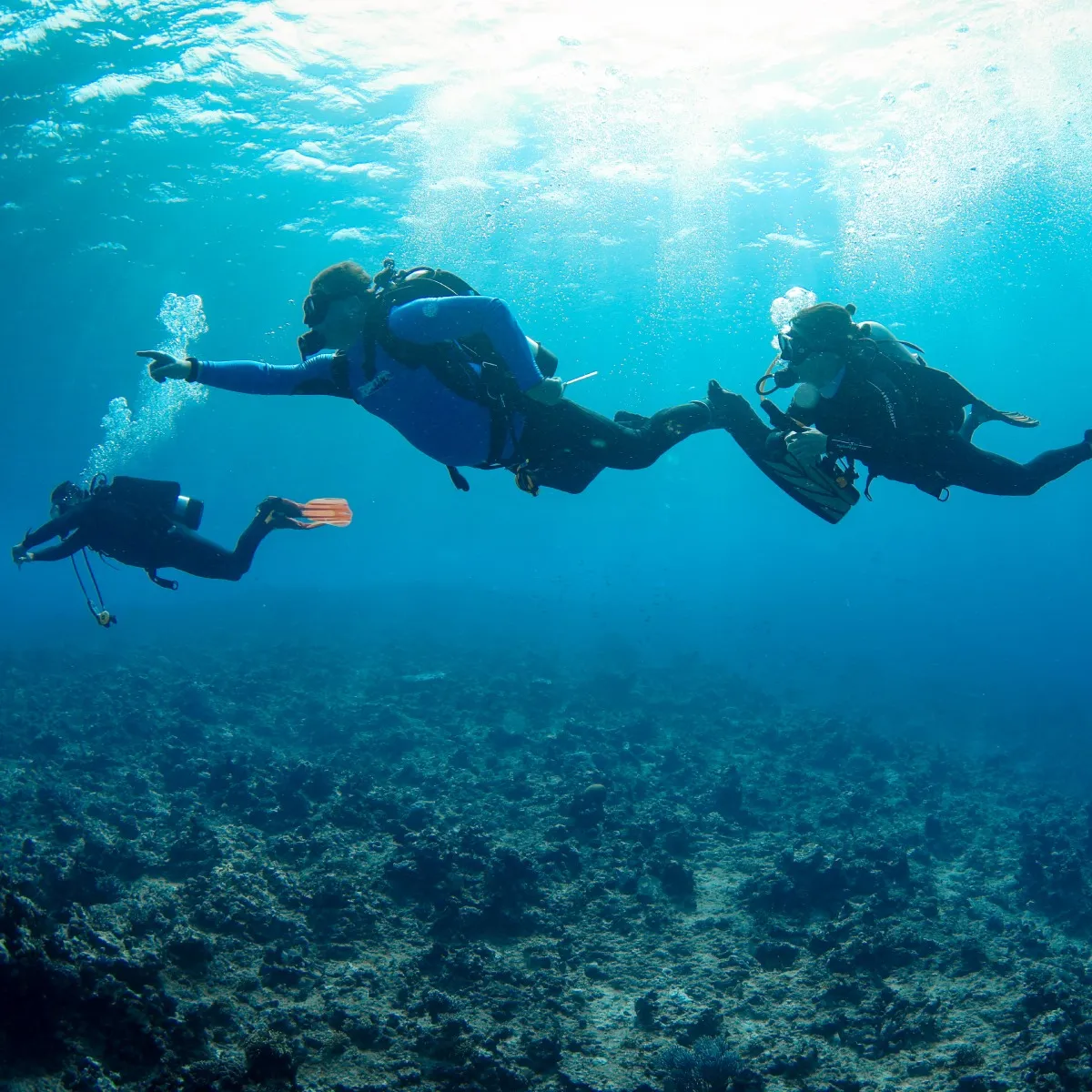 Meridian Adventure Dive and Watersports Club - 