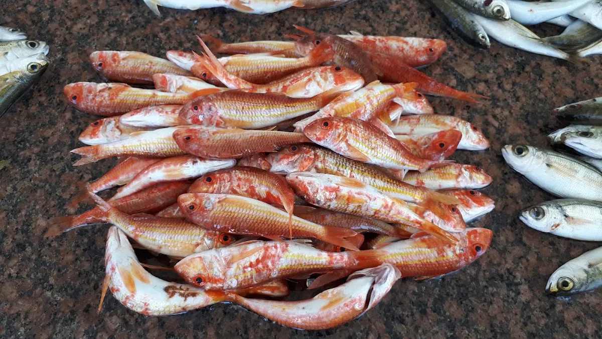 Milos Balık Restaurat - Restaurants Sığacık 2