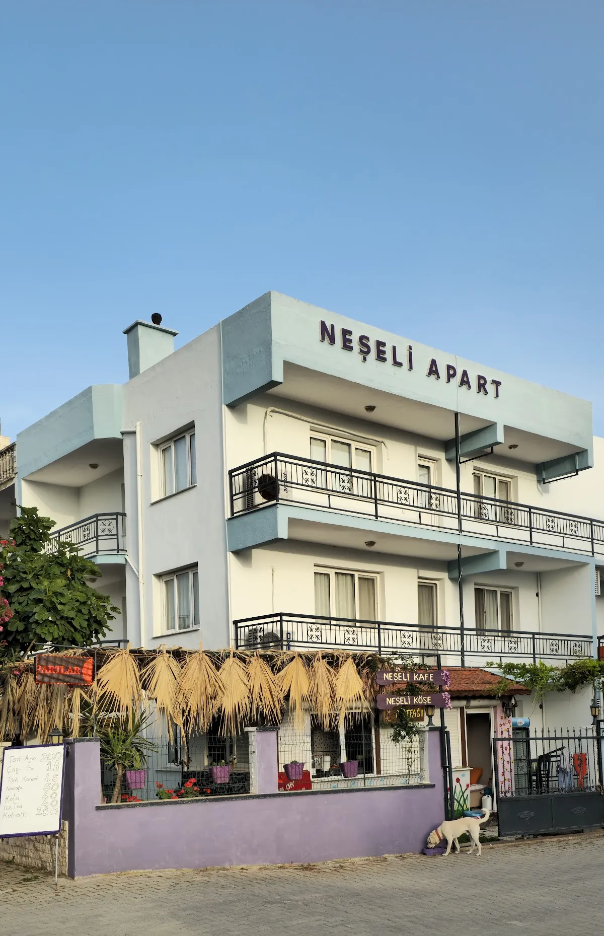 Neseli Apart ve Bahçe Cafe - 
