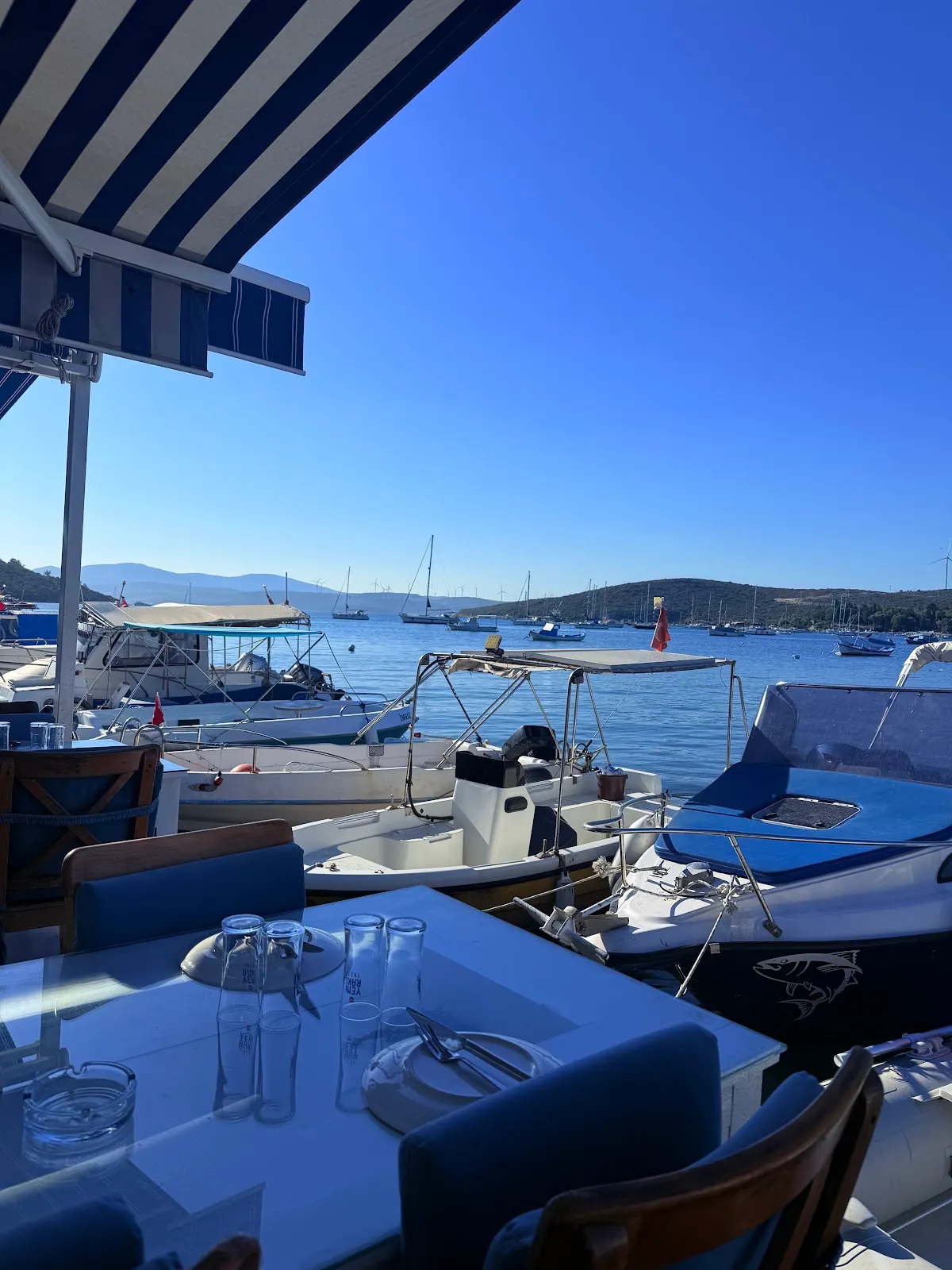 Paşa Kaptan Sığacık Meyhane | Restoran | Balık | Meze - Entertainment Sığacık 3