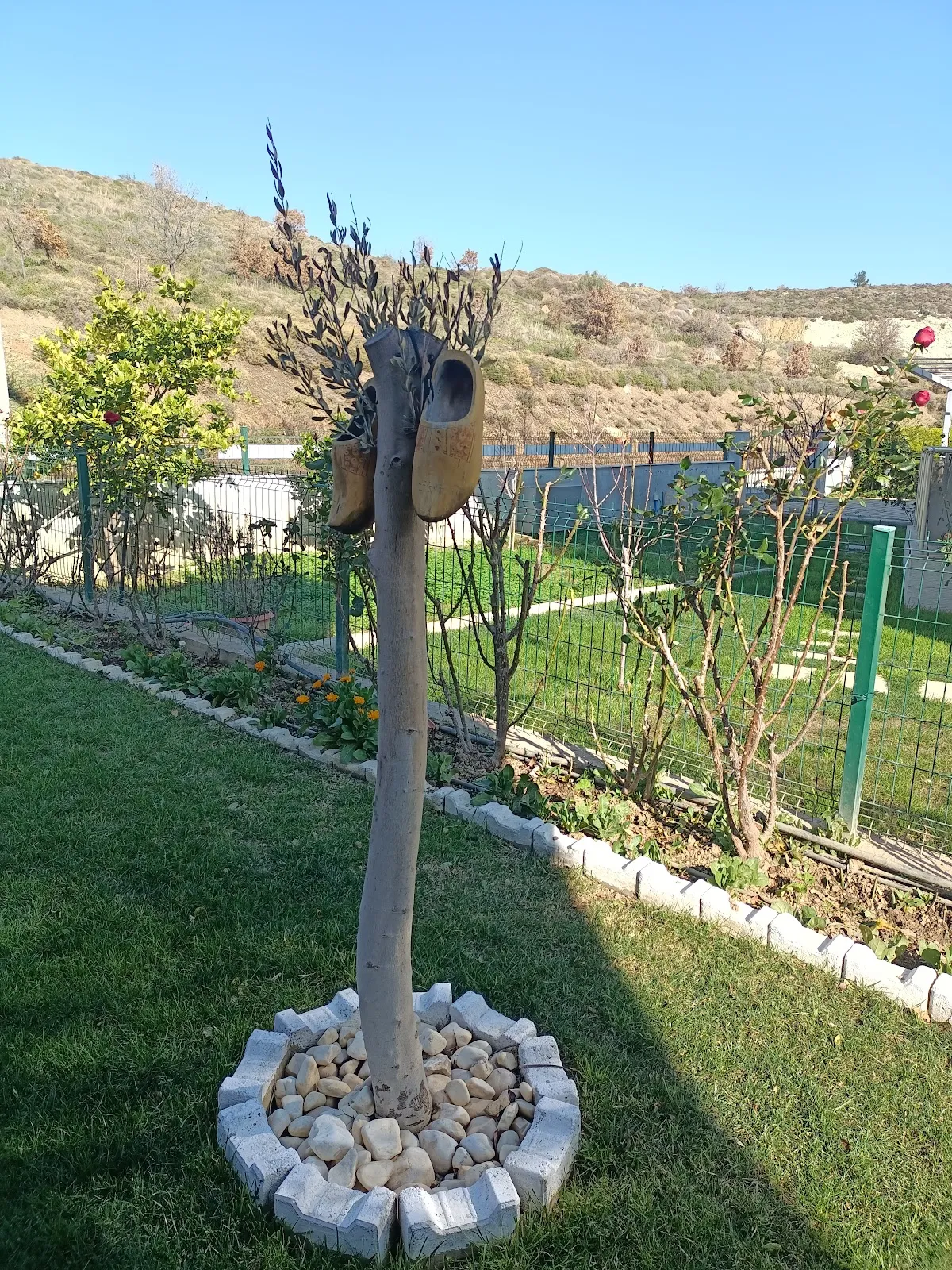 Sekoya Pansiyon - Hotels Akarca 4