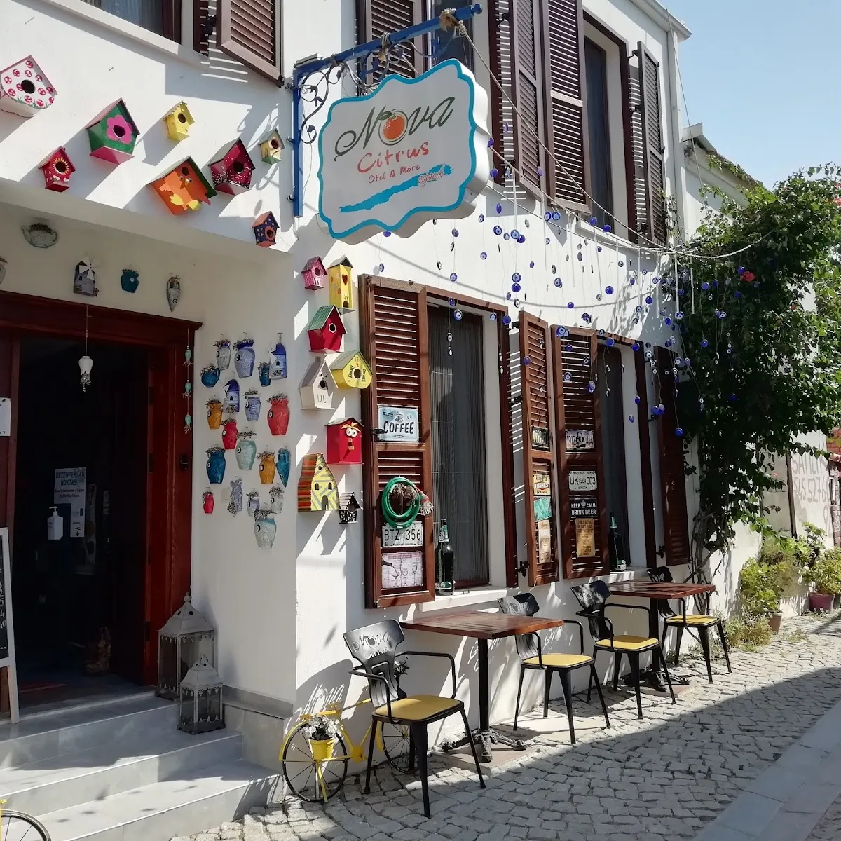 Şerefe 41 Sığacık Meyhanesi - Meze & Balık - 