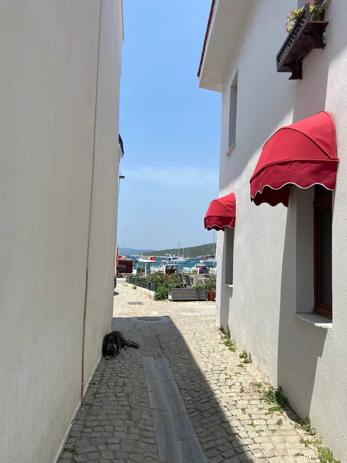 Sığacık Ada Pansiyon - 