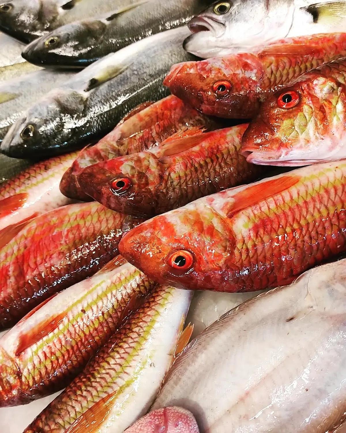 Sığacık Çakoz Balıkevi - Restaurants Sığacık Çakoz Balıkevi - Restaurants Sığacık Mahallesi Liman caddesi 3