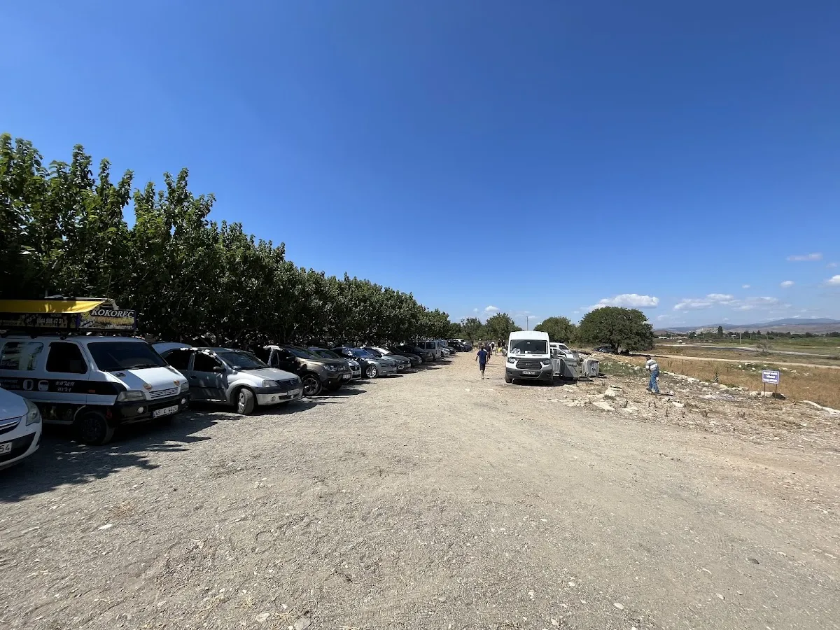 Sığacık Eski İskele Plajı (Çadır Kamp Alanı) - Camping Sığacık Mahallesi Eski İskele Mevkii 4