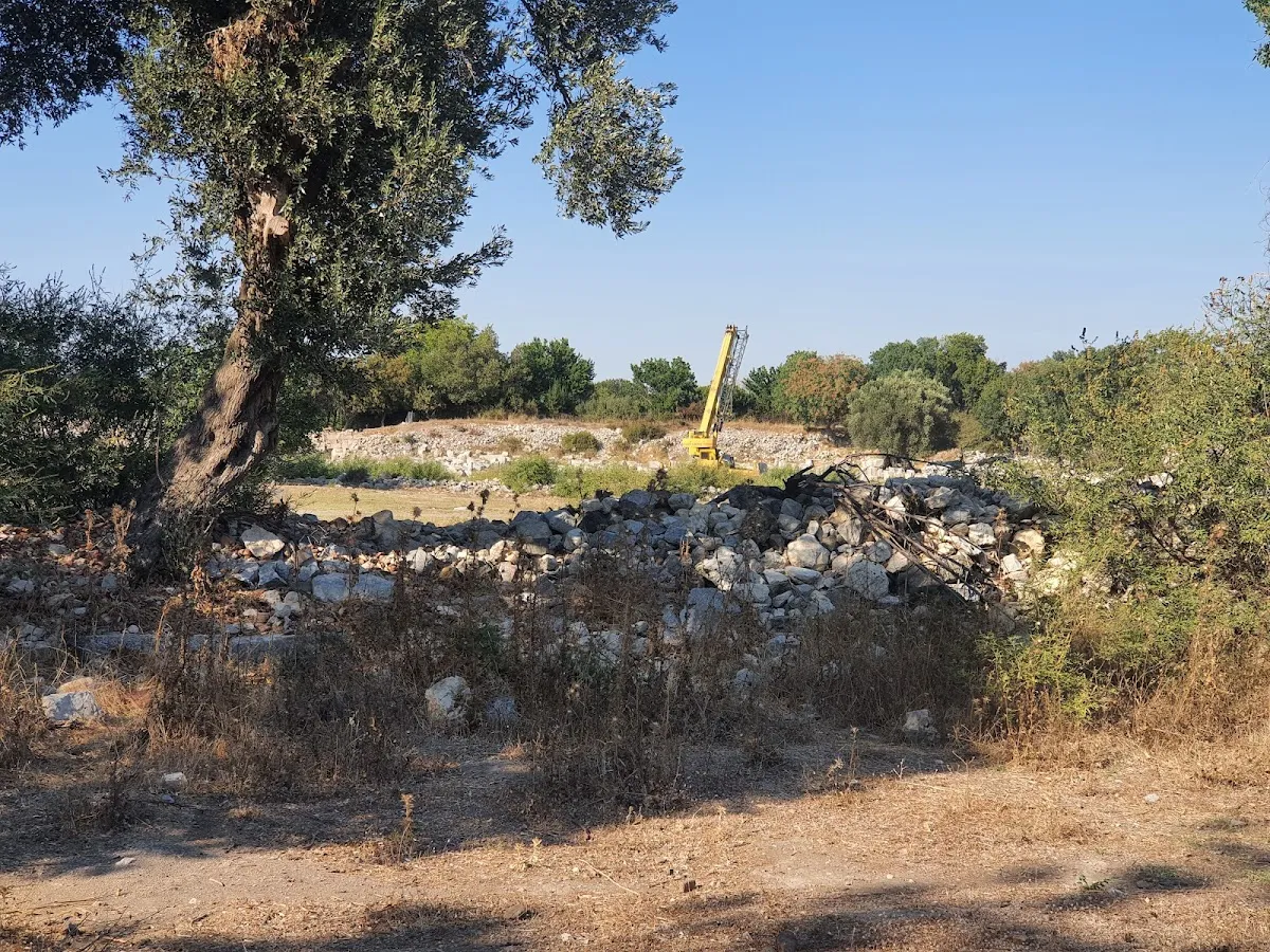 Teos Agora - Places to Visit Sığacık 3