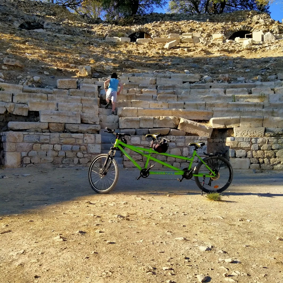 Teos antik kenti / Bilge ağaç - Places to Visit Sığacık 2