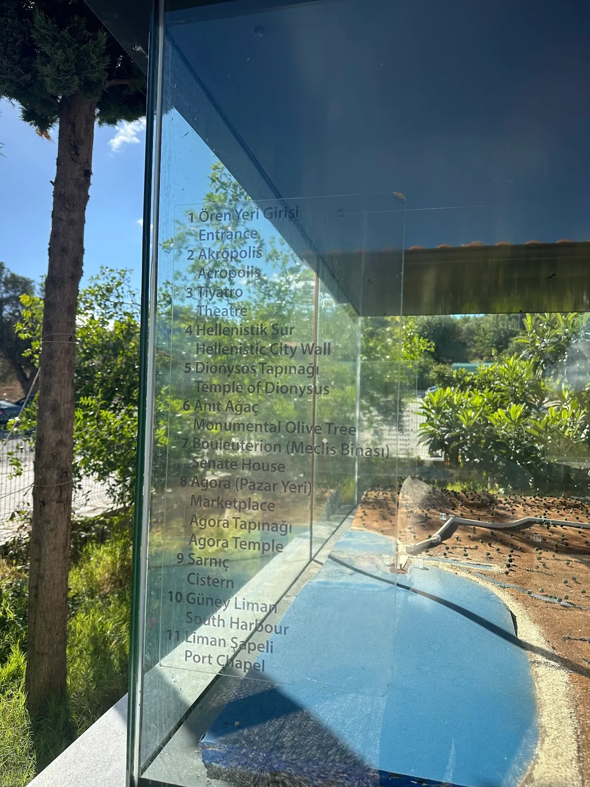 Teos antik kenti / Bilge ağaç - Places to Visit Sığacık 3