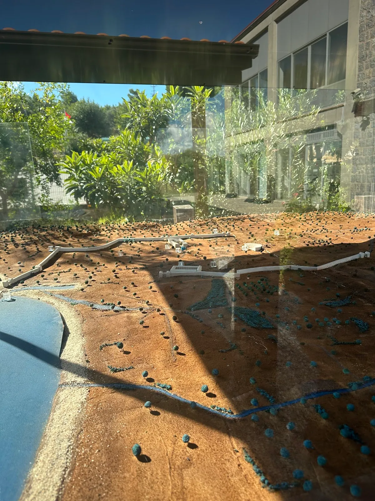 Teos antik kenti / Bilge ağaç - Places to Visit Sığacık 4