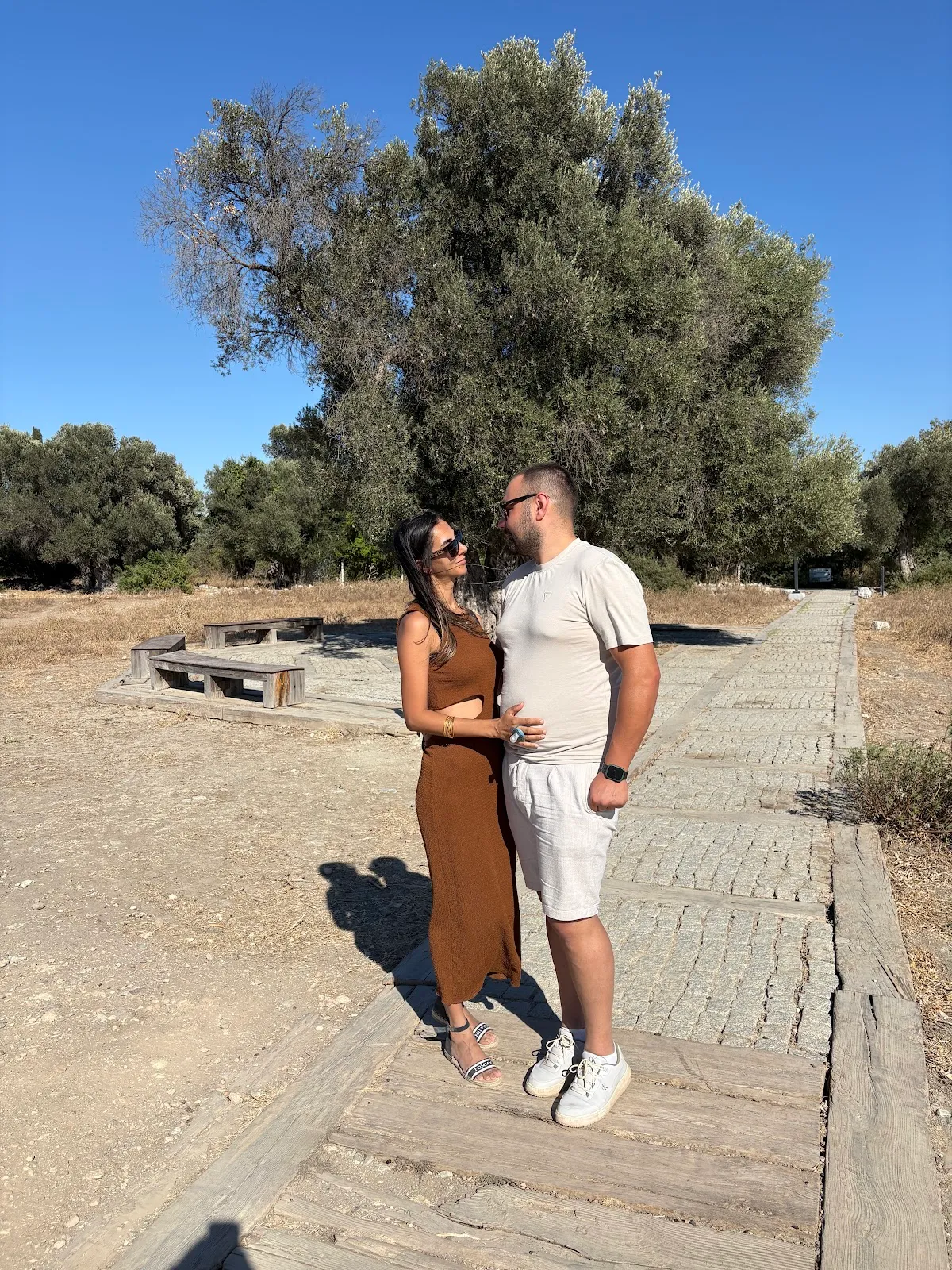 Teos antik kenti / Bilge ağaç - Places to Visit Sığacık 5