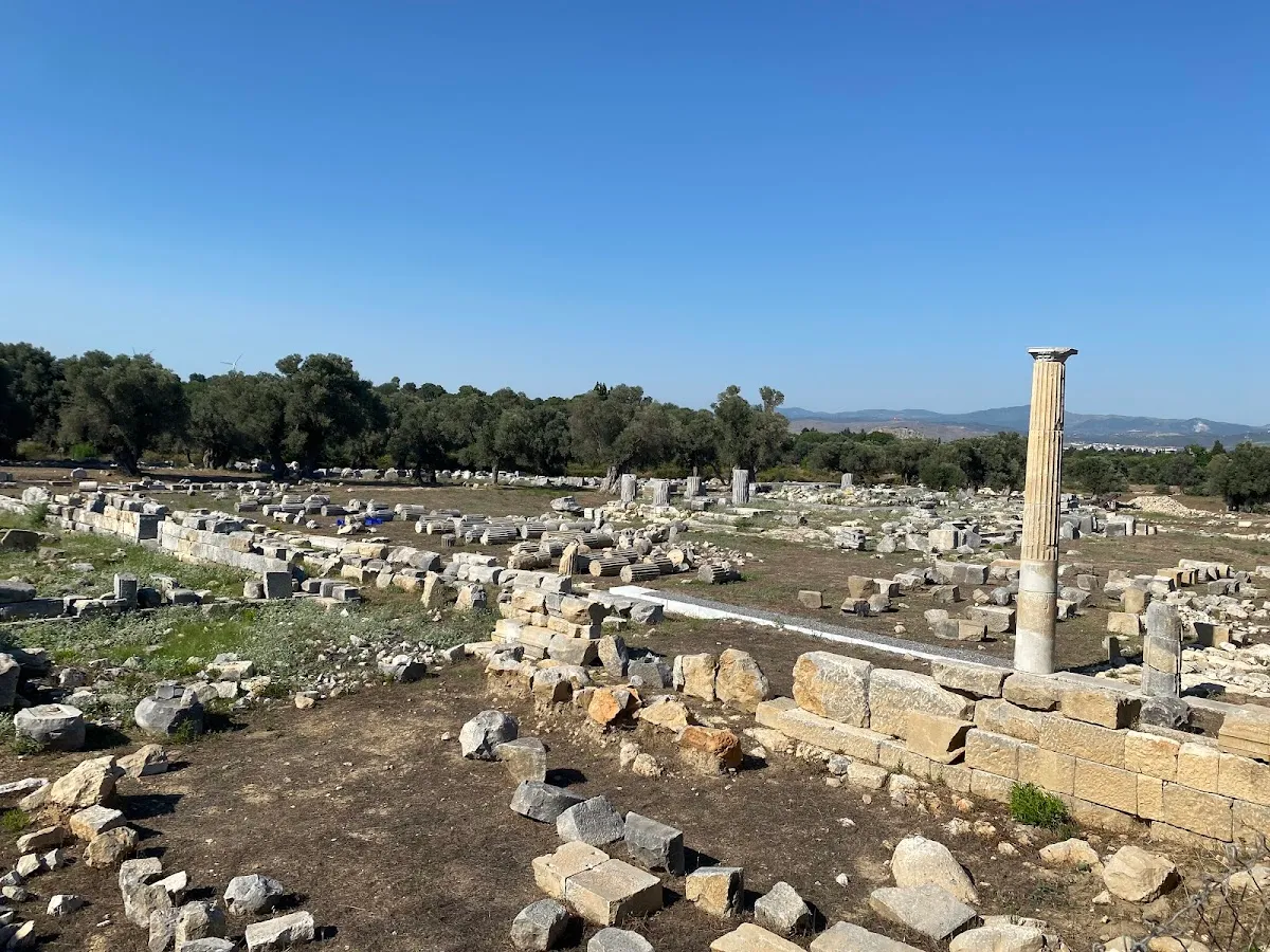 Teos Antik Kenti Güney Limanı - Places to Visit Sığacık 5