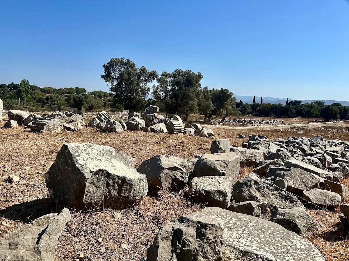 Teos Antik Kenti - Places to Visit Teos 2