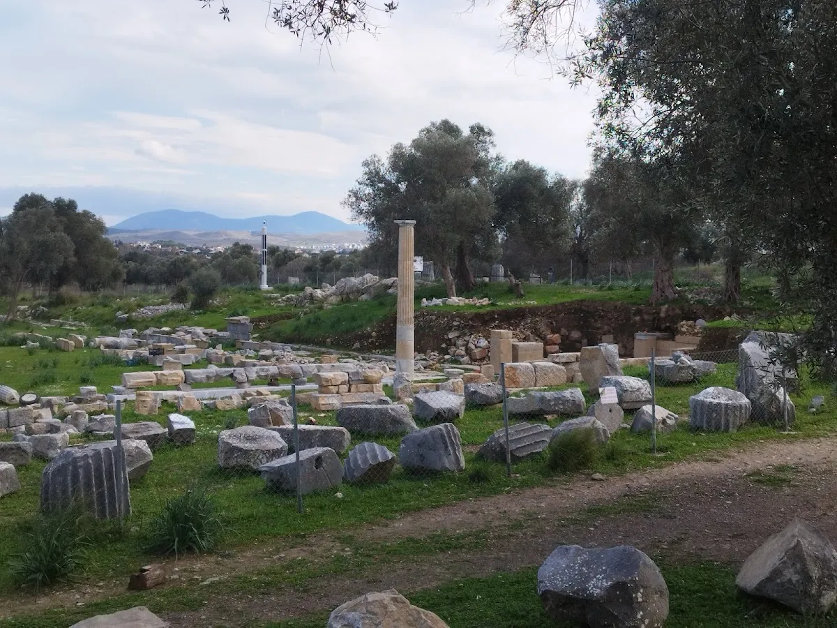 Teos Dionysos - Places to Visit Sığacık 2