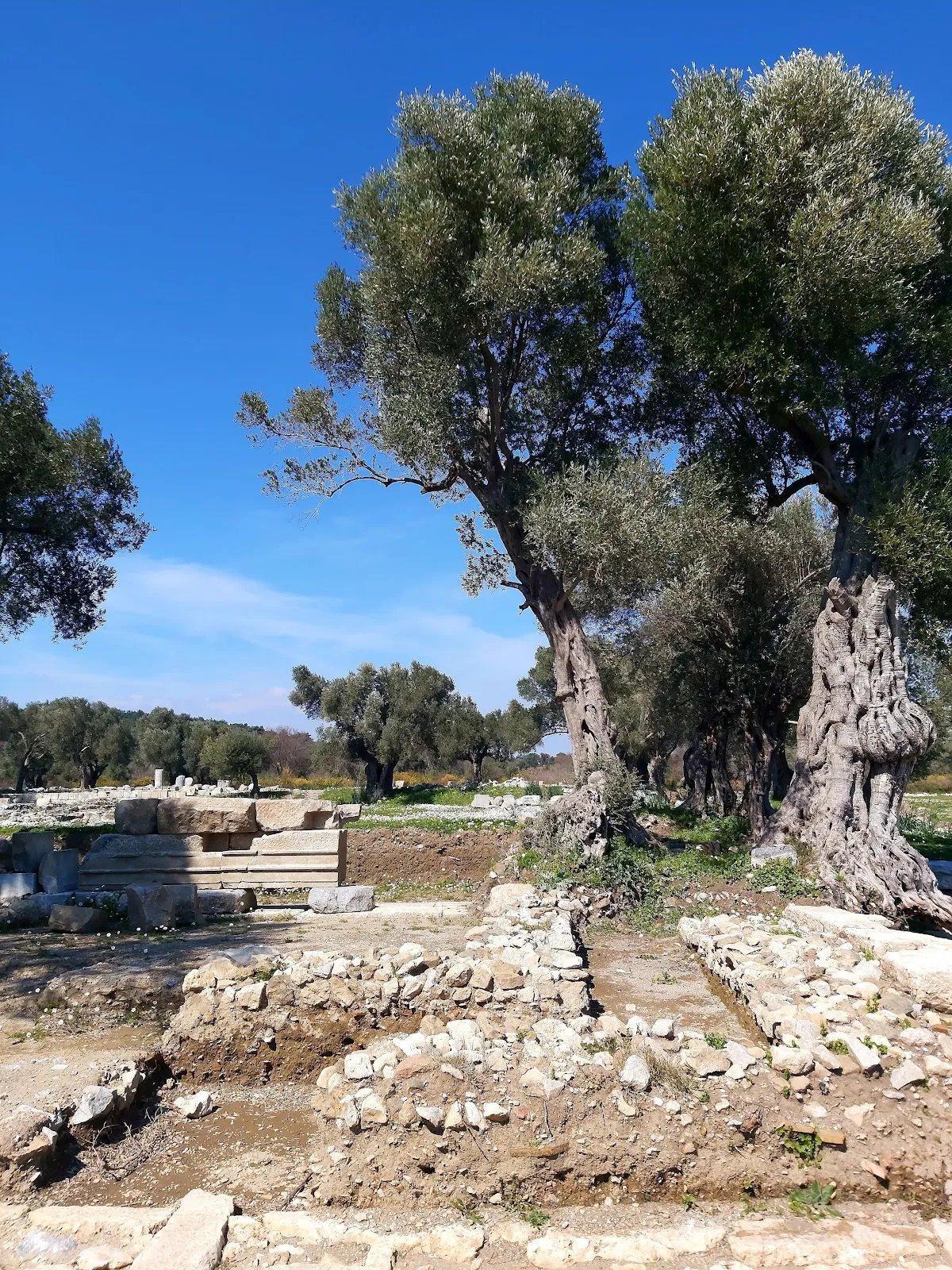 Teos Dionysos - Places to Visit Sığacık 3