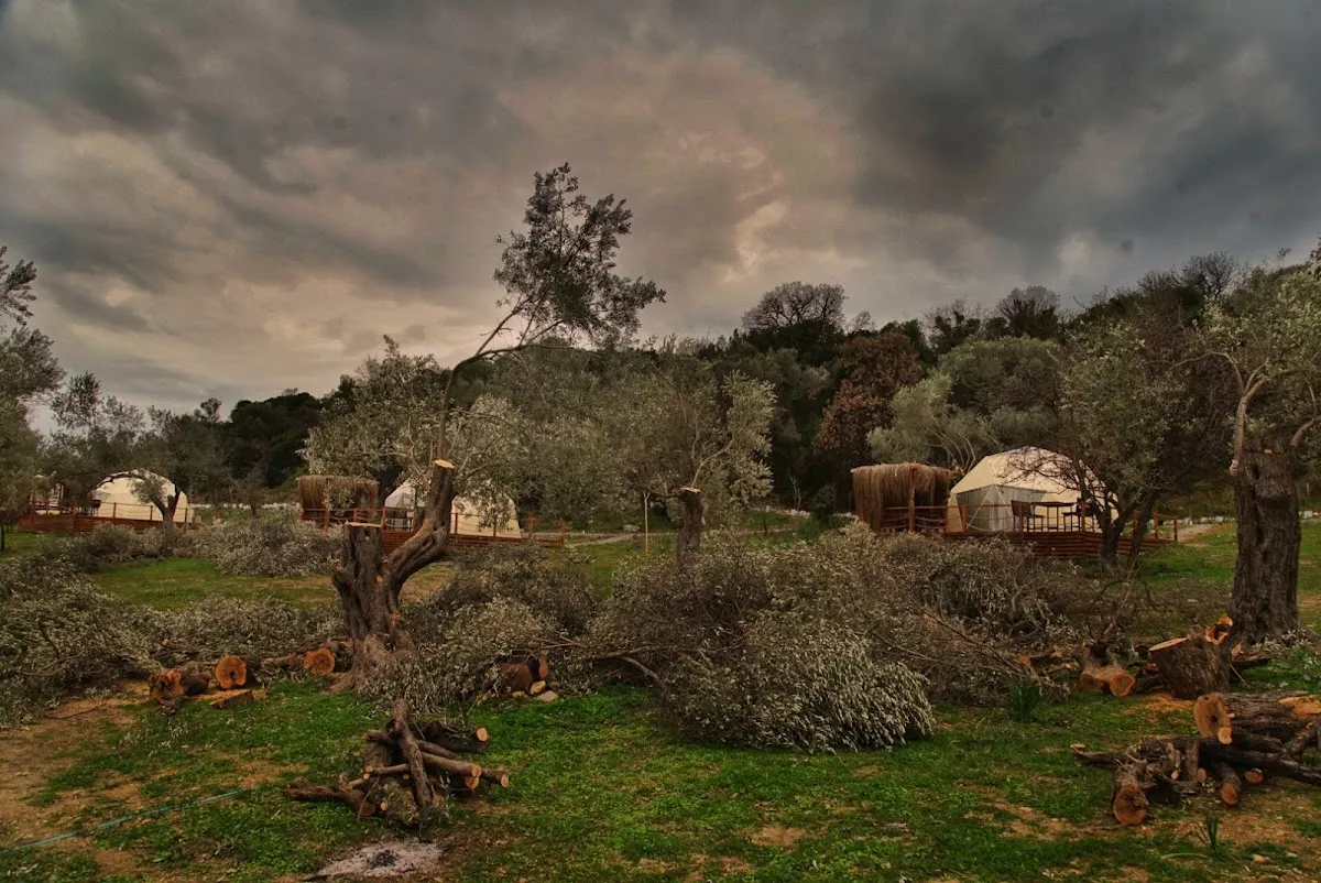 Teos Glamping - Hotels Sığacık 2