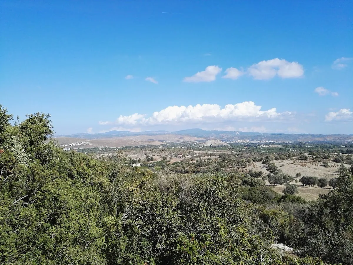 Teos Orman İçi Dinlenme Yeri - 