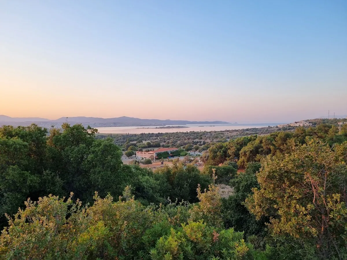 Teos Orman Piknik Alanı - 