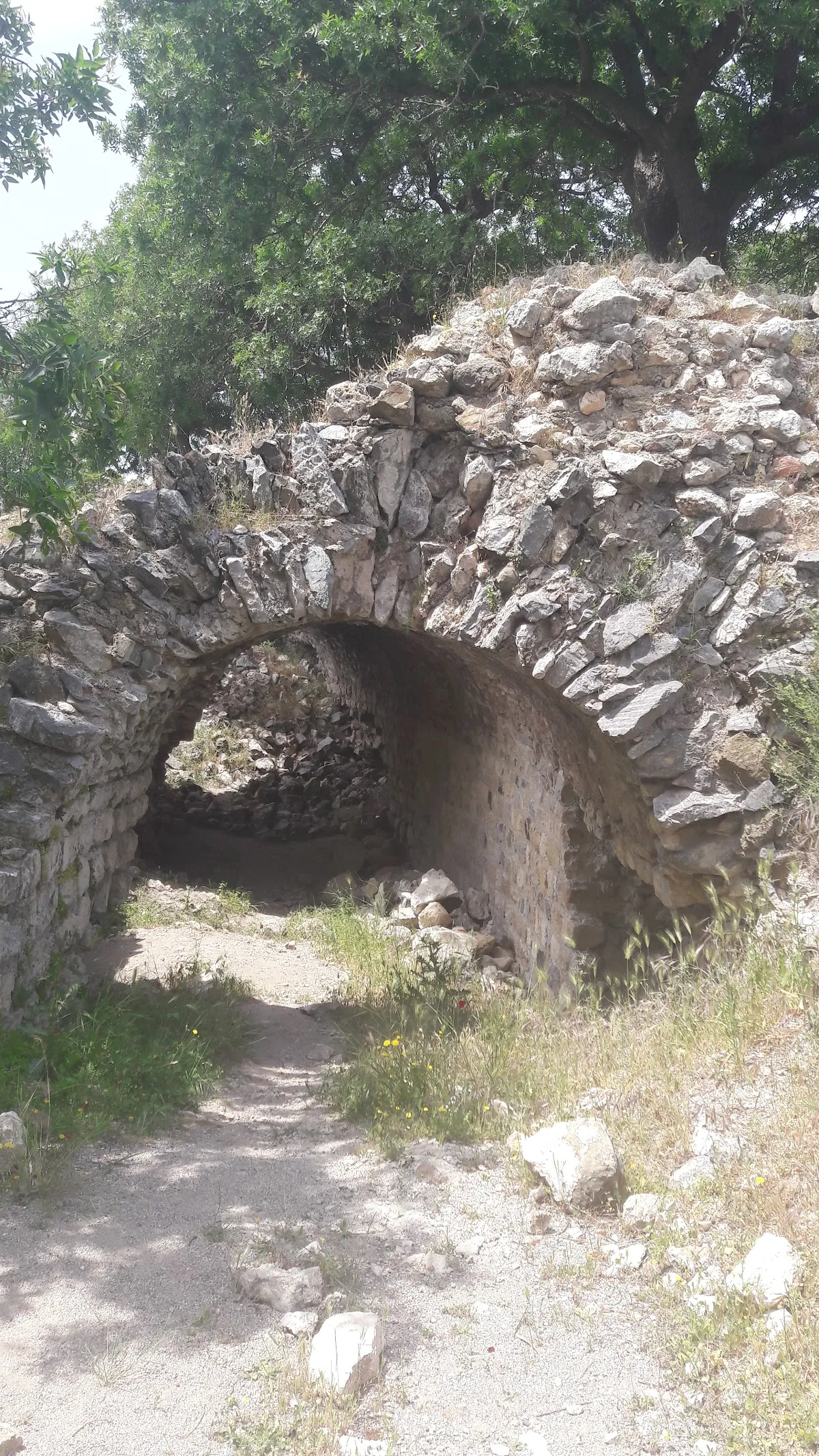 Teos Orman Piknik Alanı - Places to Visit Sığacık 4