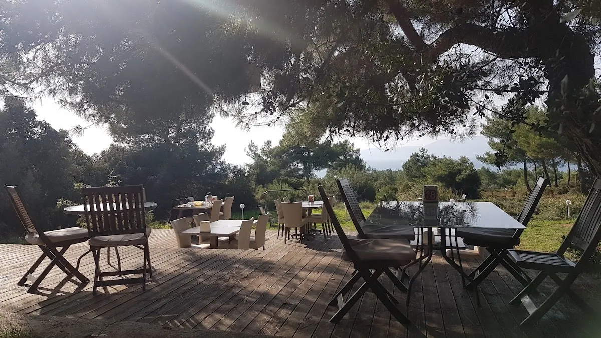 Teos Park Cafe Restoran - 