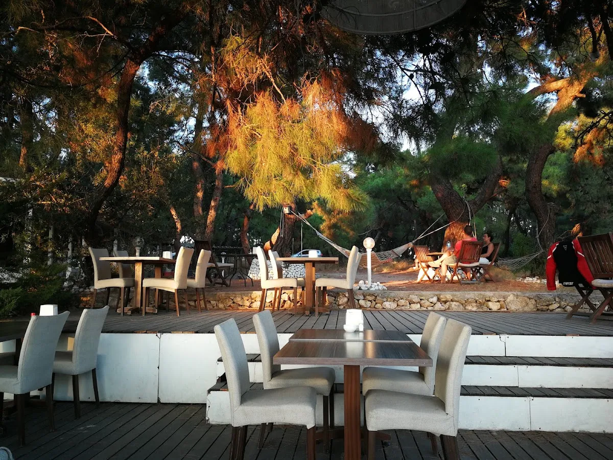 Teos Park Cafe Restoran - Cafes Sığacık 4