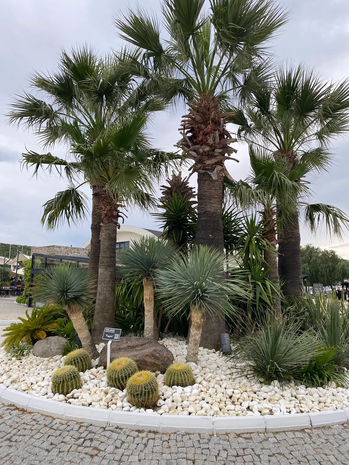 Teos Pier 1 - Restaurants Sığacık 5