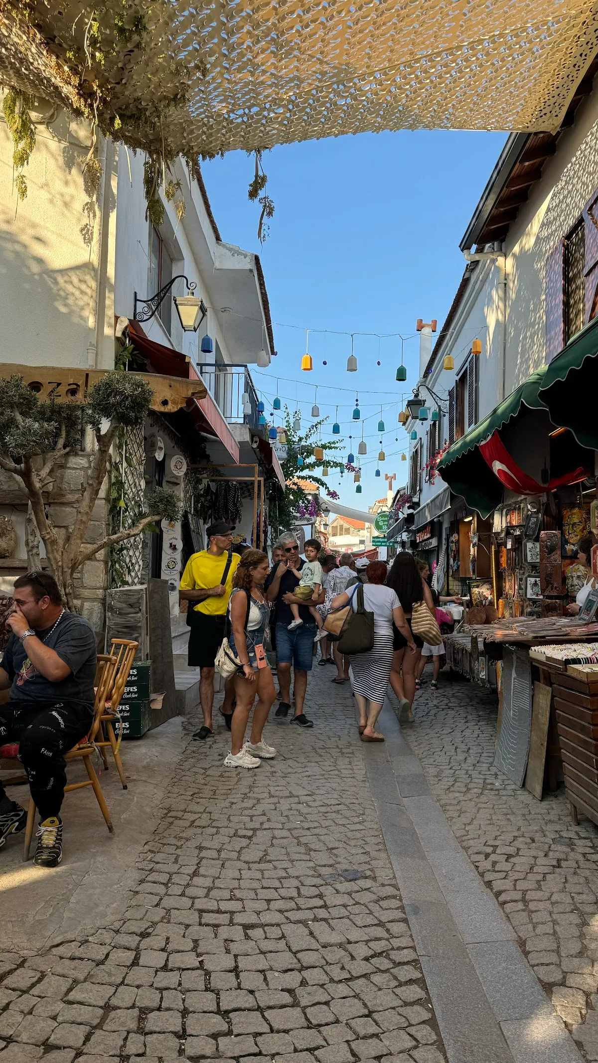 Teos Sualtı ve Deniz Hayatı - Places to Visit Sığacık 5