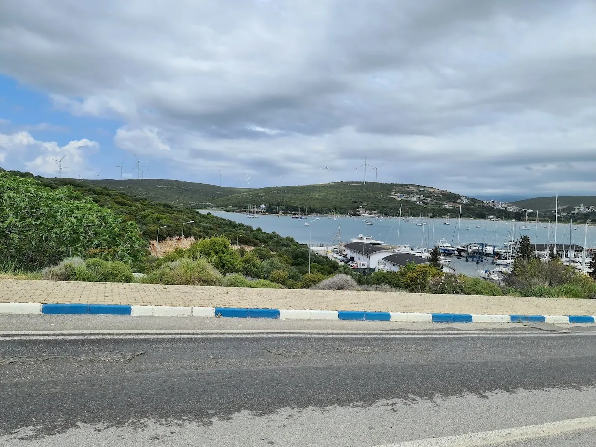 Teos Yachting Services - Boat Tours Teos Marina içi 3