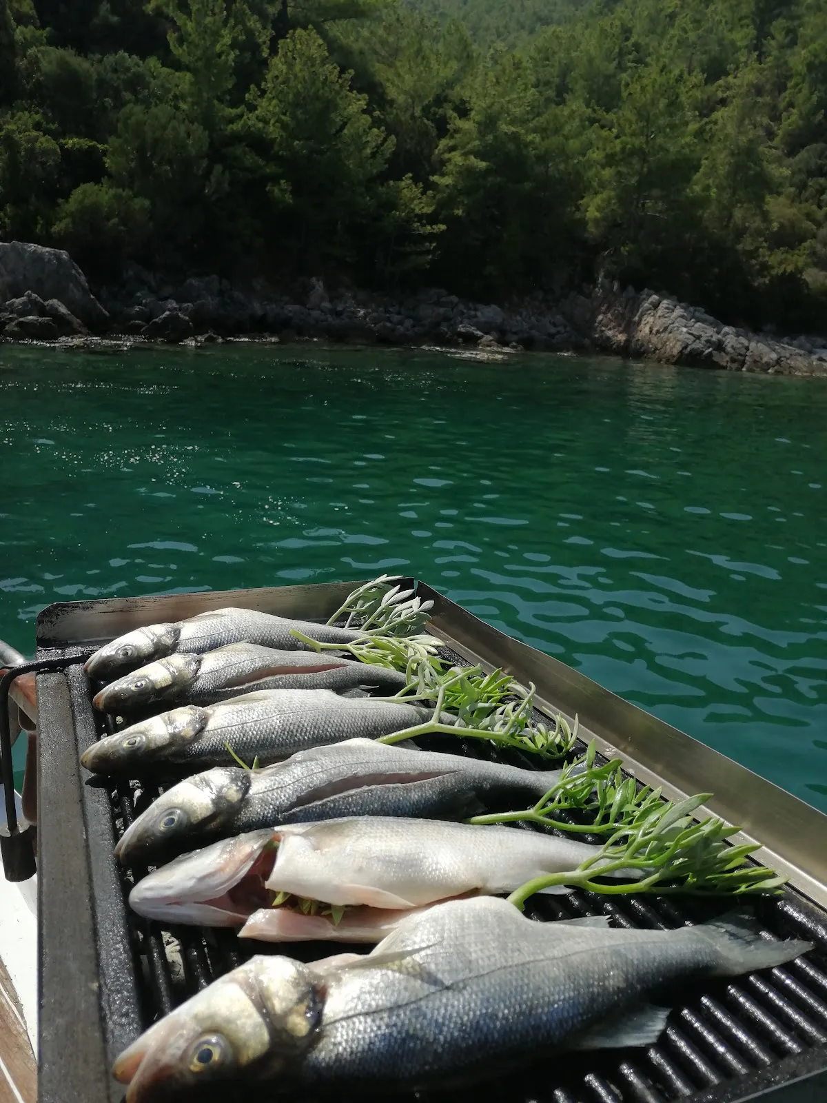 teostur gezi teknesi private tour - Boat Tours su ürünleri 5