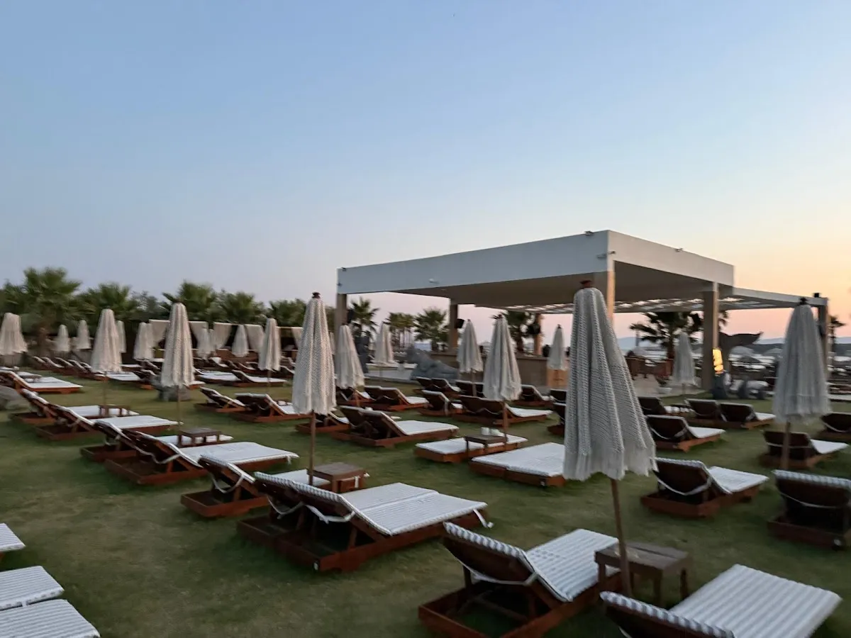 Tüccar Beach Club - Restaurants düzce mahallesi azmak mevkii küme evleri 5