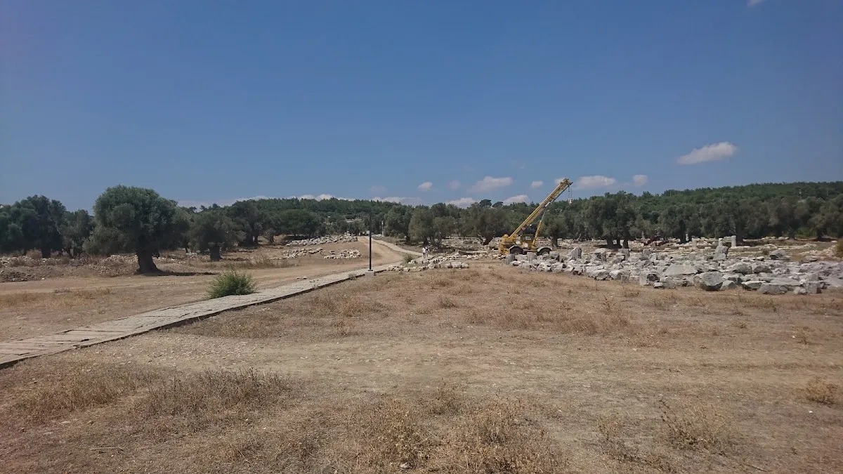 Umay Nine Ağacı Olive - Places to Visit Sığacık 2