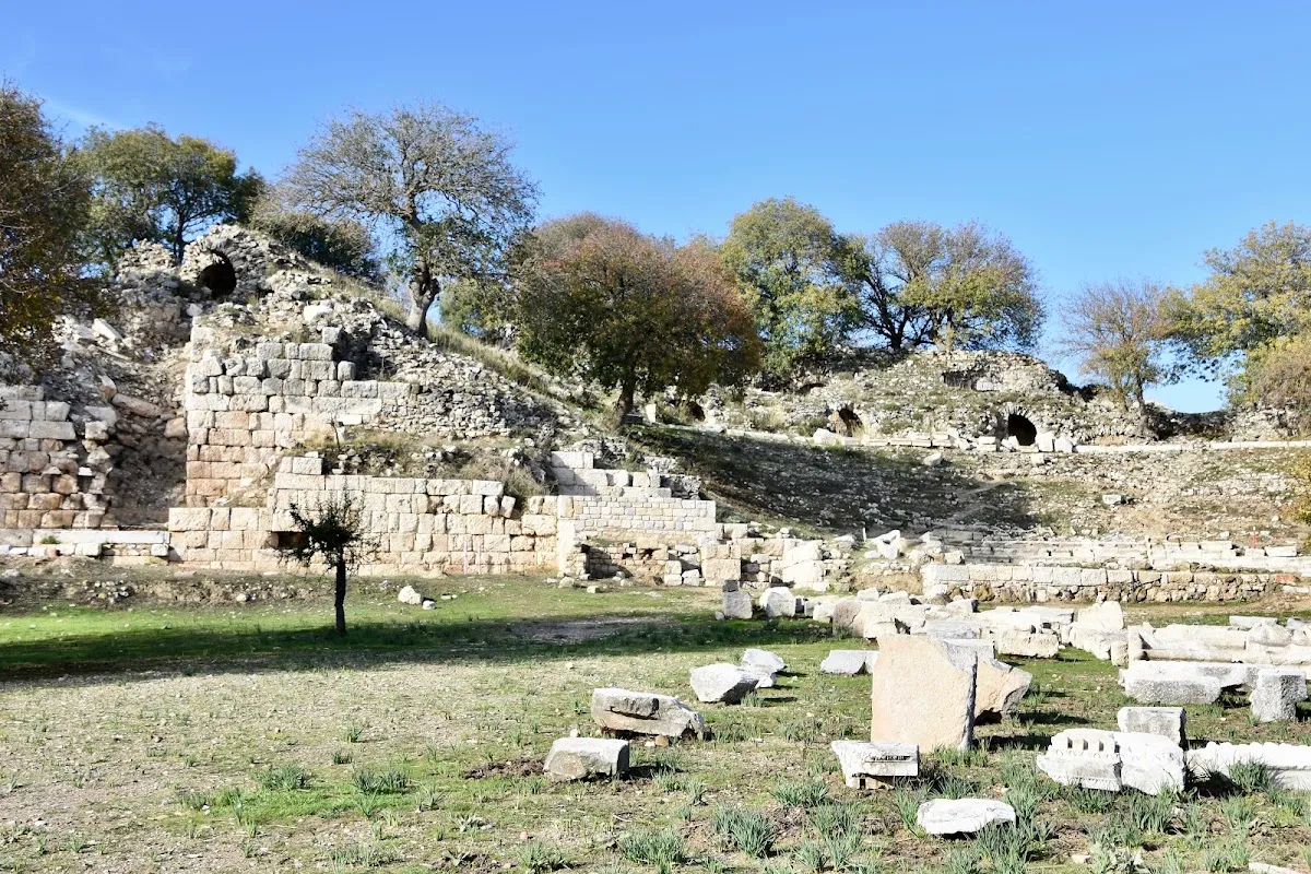 Umay Nine Ağacı Olive - Places to Visit Sığacık 3