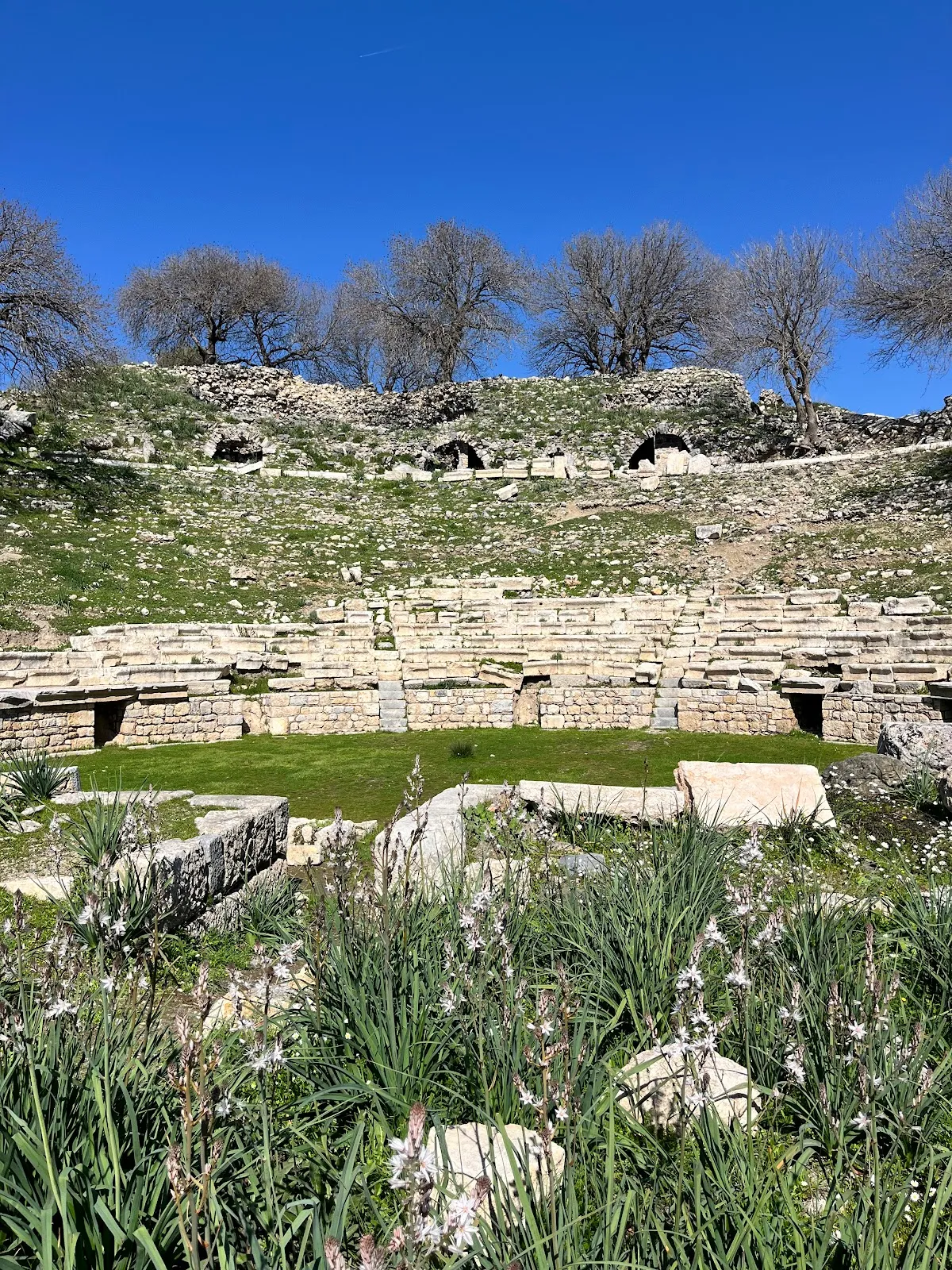 Umay Nine Ağacı Olive - Places to Visit Sığacık 5