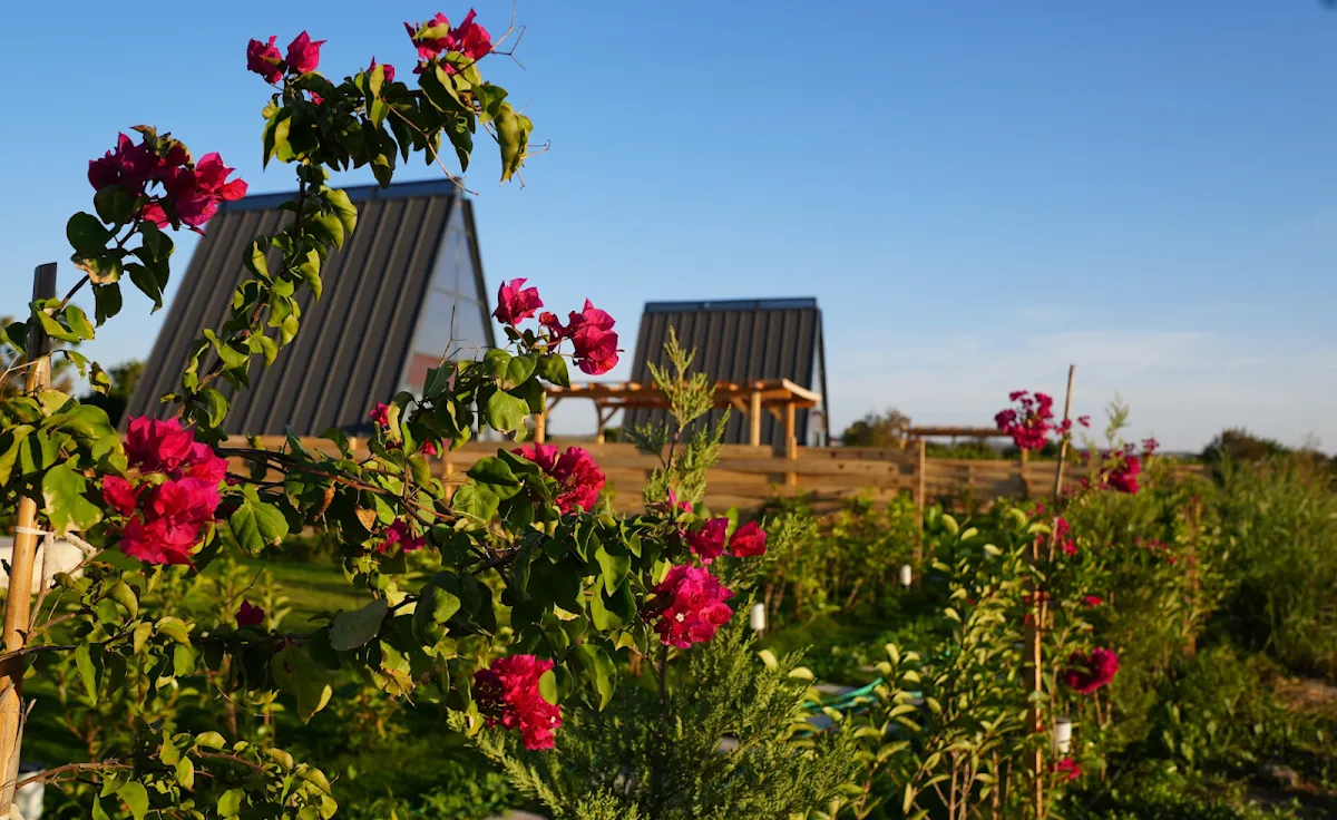 Yamandalin Evleri | Seferihisar Bungalov | Tatil Köyü - Hotels Camikebir 5