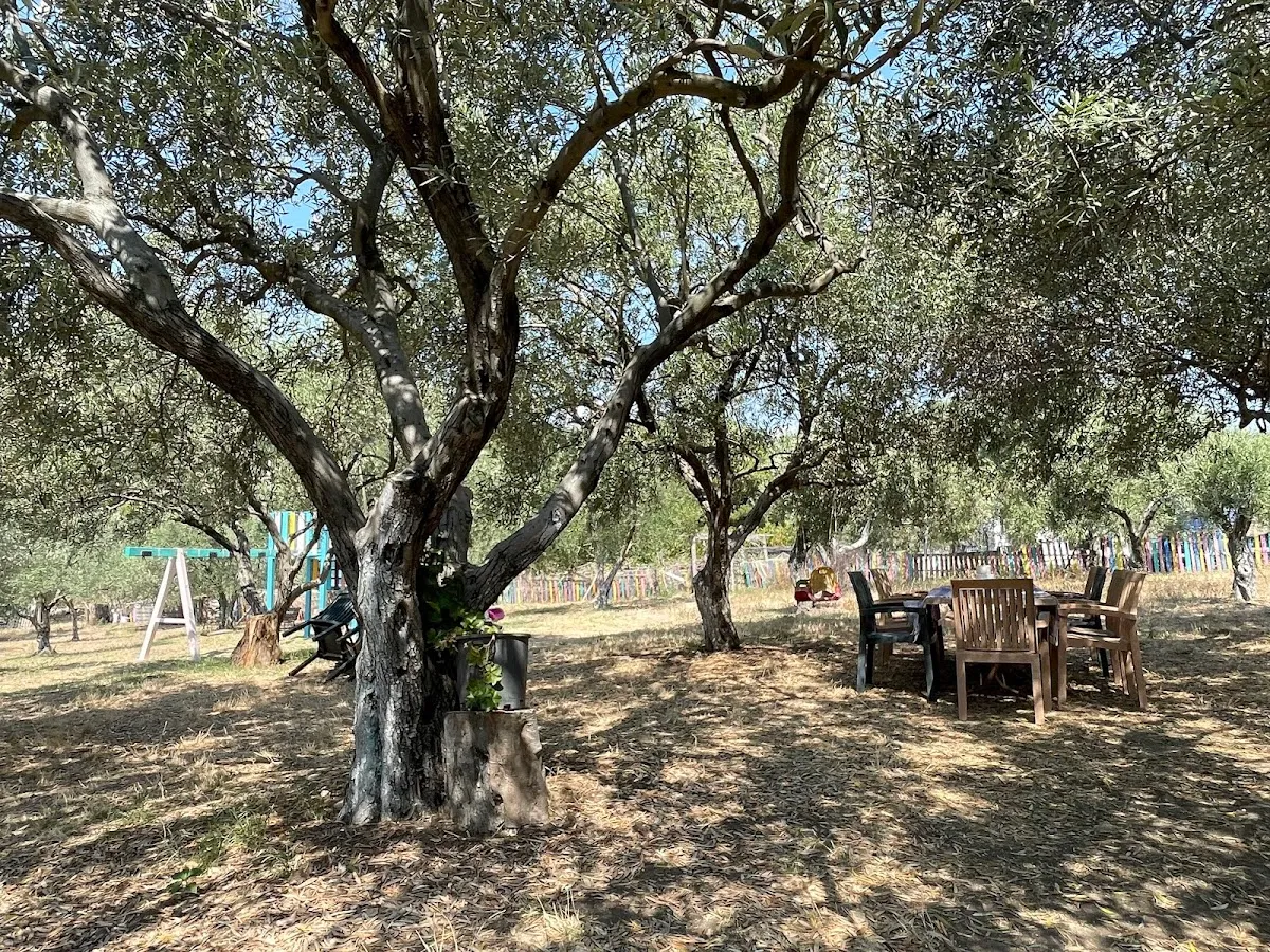 Zeytinaltı Kahvaltı & Mangal Seferihisar - Breakfast Places İhsaniye 3